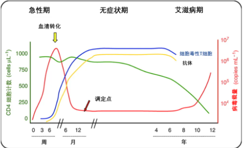 感染HIV后，为什么要查CD4细胞？