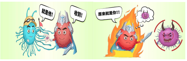 “Mosaic”疫苗——艾滋病疫苗研究新希望